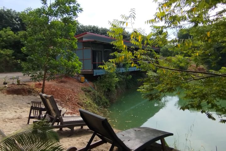 Natural pool
