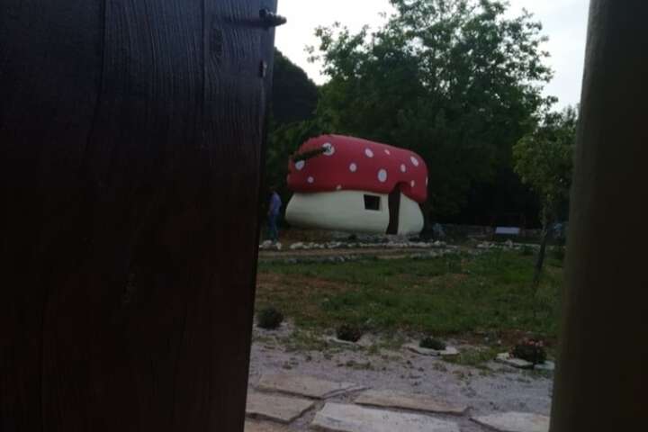Property Grounds 14 of 21