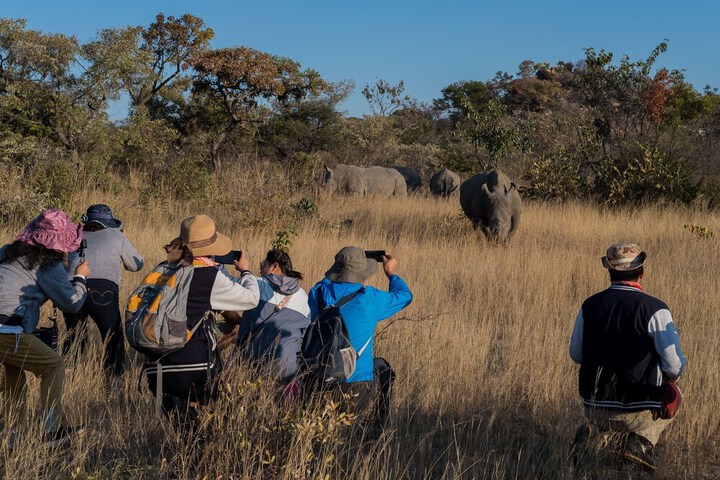 Spa and Wellness Pictures