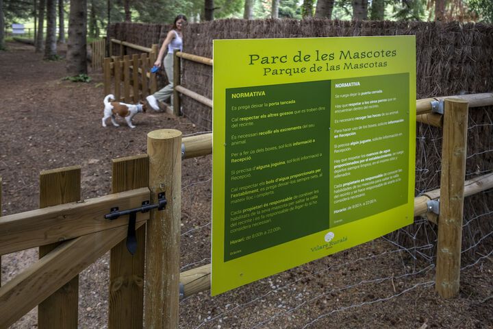 Pet-friendly amenities