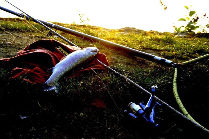Outdoor Activities 28 of 54
