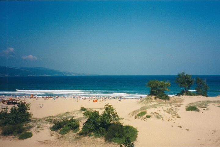 Beach 13 of 76