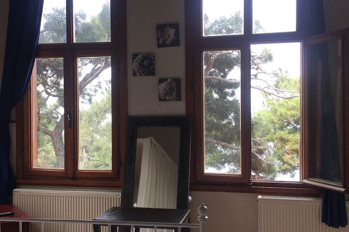 Room 16 of 43