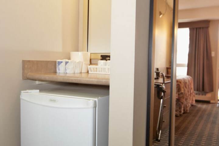 Mini-refrigerator