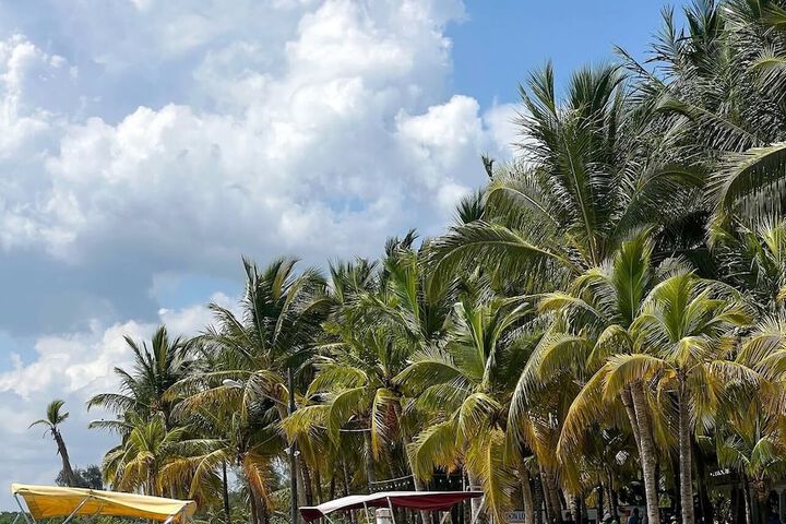 Beach 18 of 22