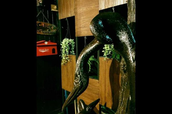 Spa and Wellness Pictures