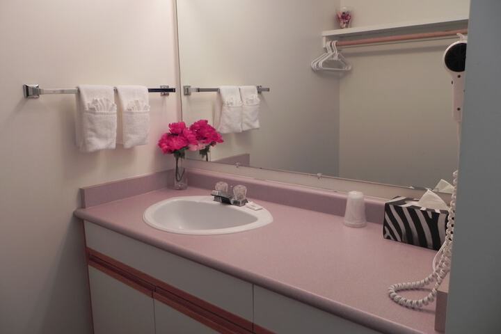 Bathroom sink