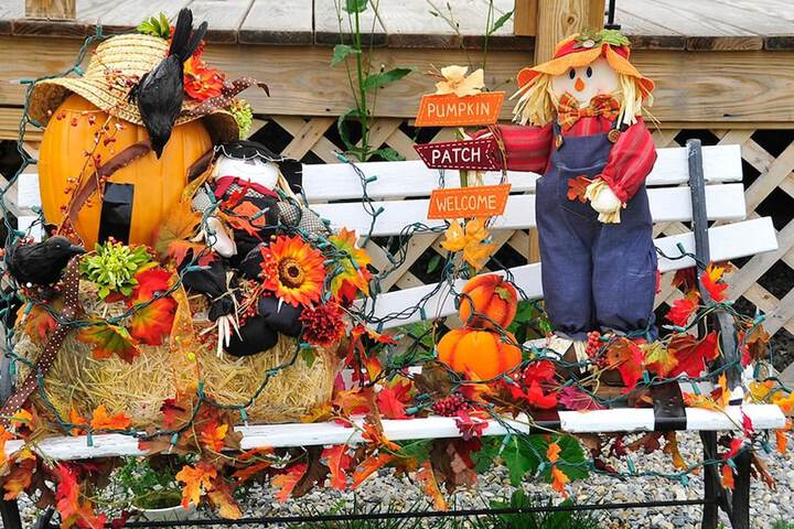 Property Grounds 37 of 49