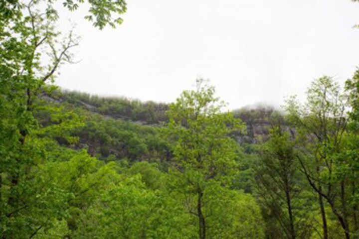 Property Grounds 141 of 173