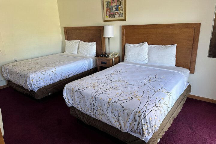 Basic Room 1 Queen Bed (12 of 13)