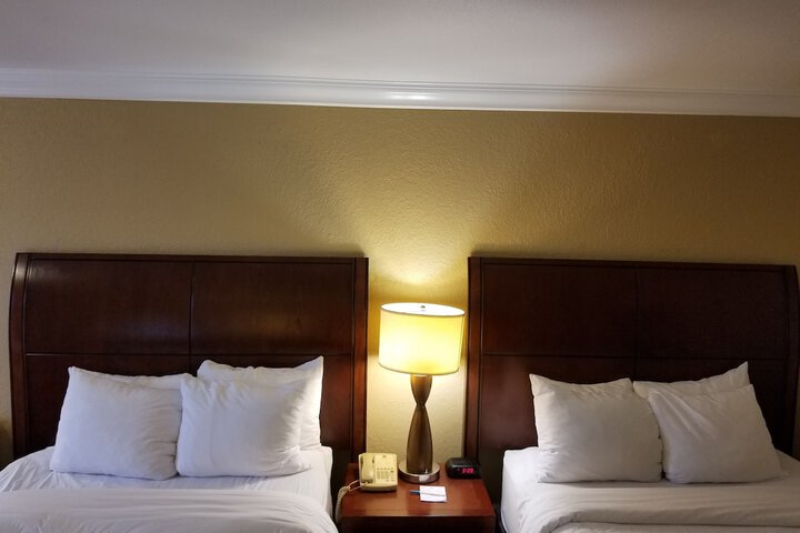2 Double Beds Accessible (18 of 49)