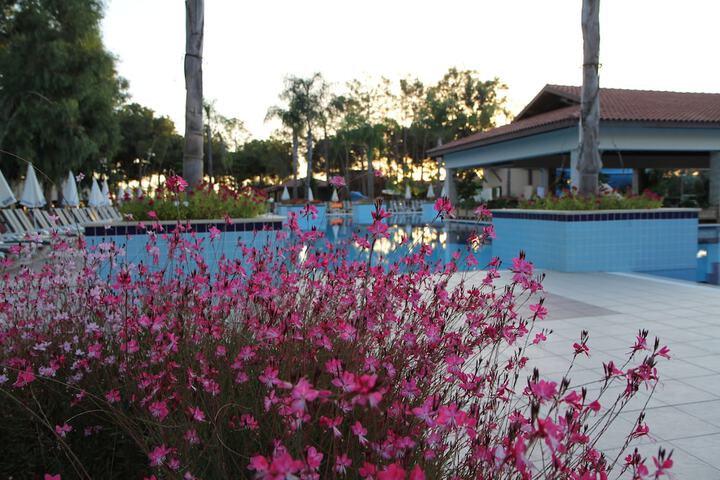 Hotel Pool