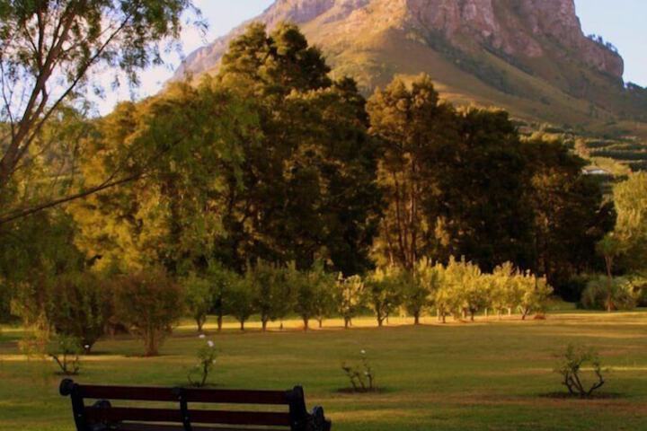 Property Grounds 62 of 65