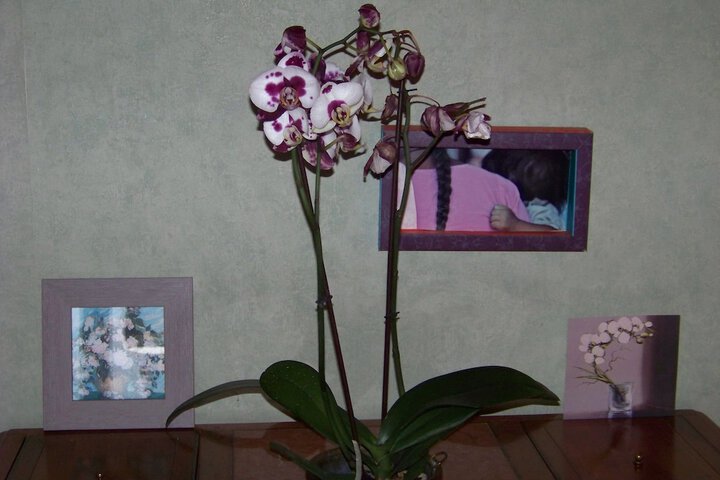 Hotel Interior 28 of 47