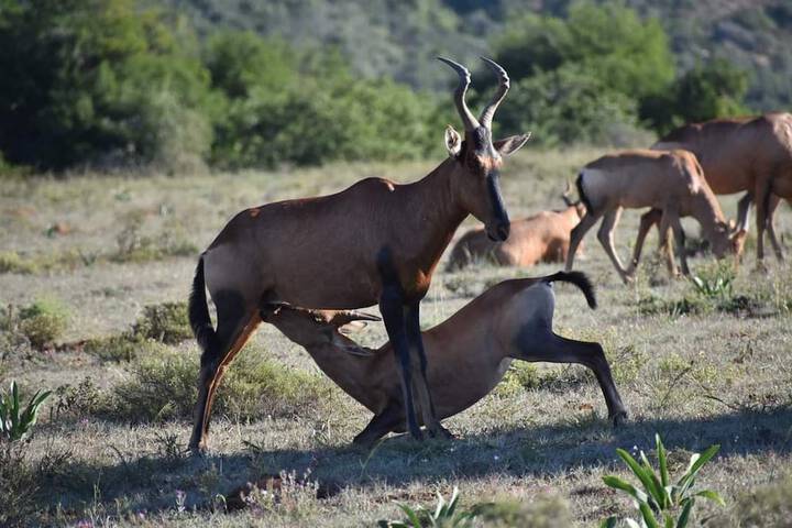 Hotel View 63 of 113