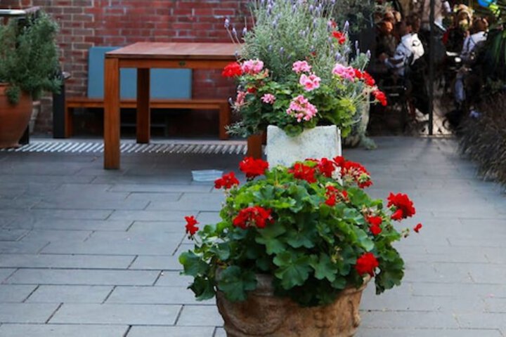 Terrace/Patio 27 of 27