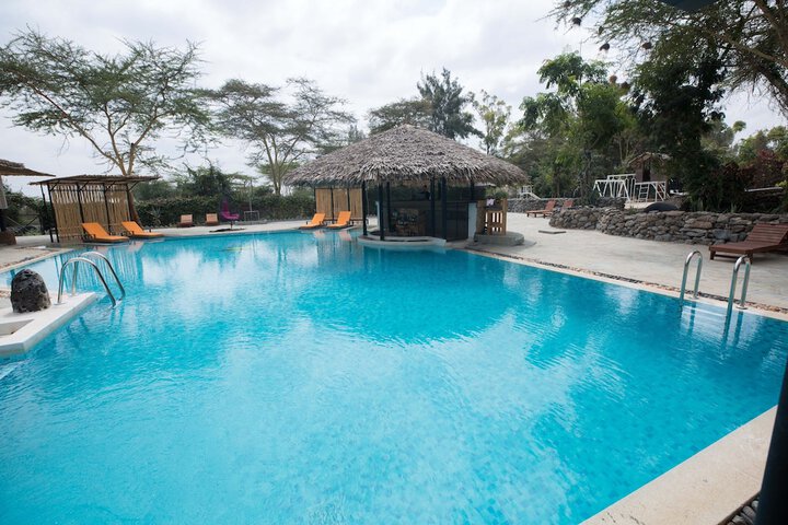 Pool 17 of 35