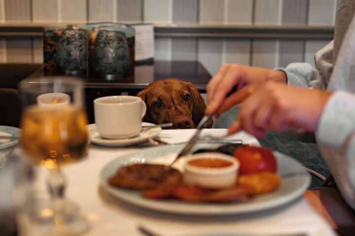 Breakfast/Coffee Service 108 of 123
