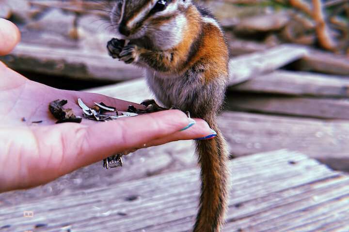 Childrens Activities 55 of 71