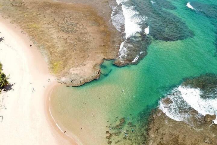 Beach 67 of 82