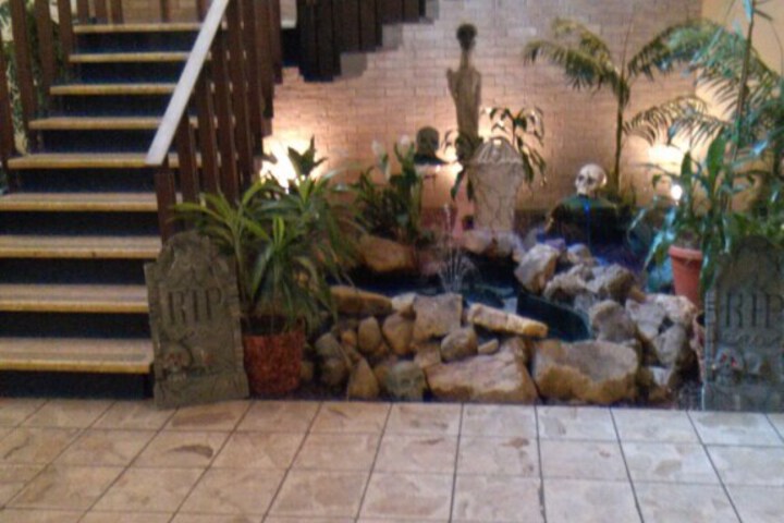 Photo 11
