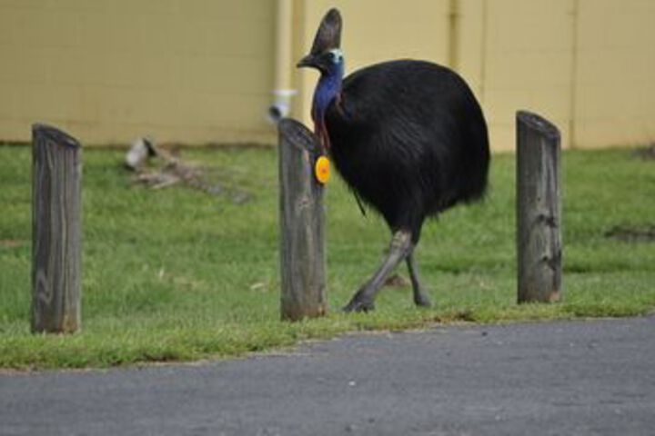 Property Grounds 48 of 54