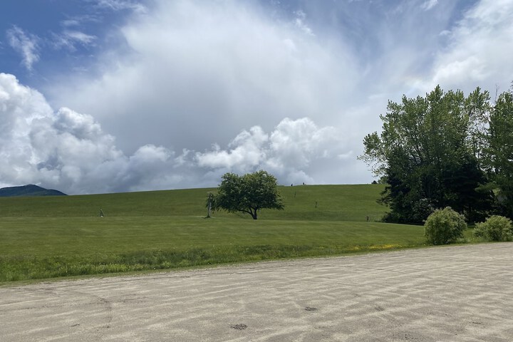 Property Grounds 254 of 311