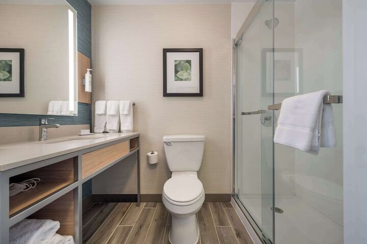 Bathroom shower