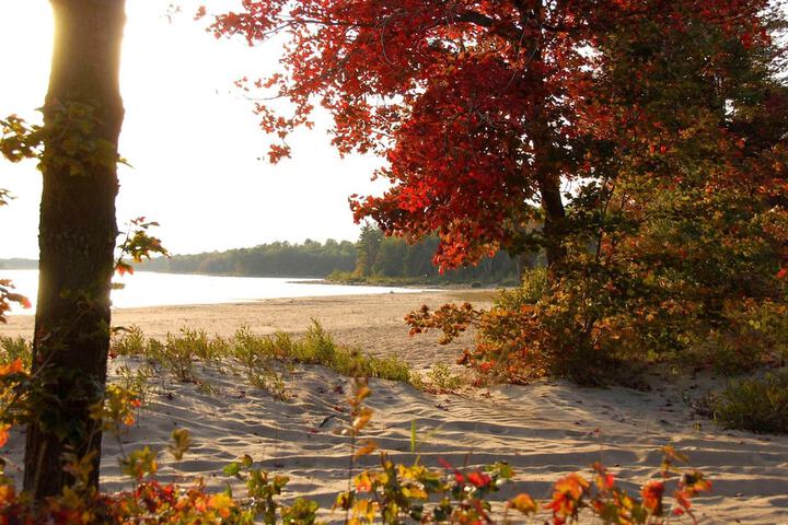 Property Grounds 16 of 27