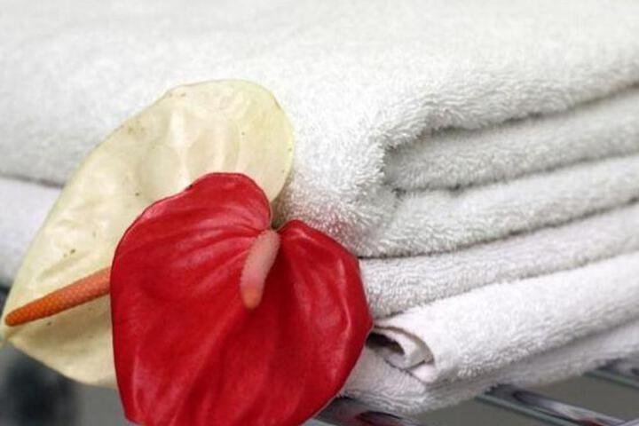 Spa and Wellness Pictures