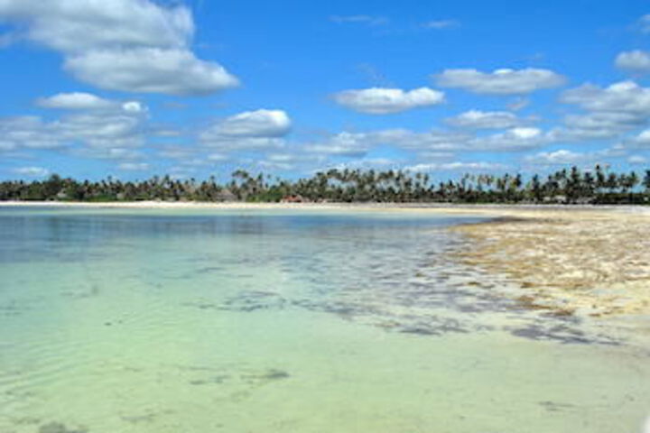 Beach 20 of 63
