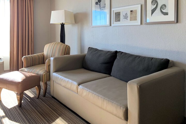 Standard King Bed Accessible (9 of 10)