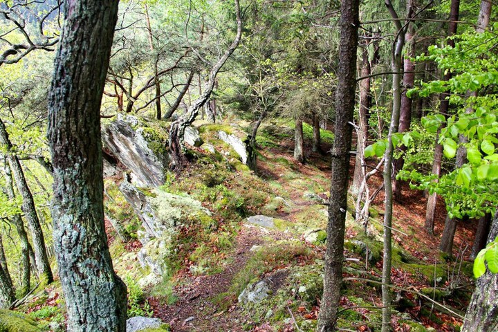 Property Grounds 29 of 34