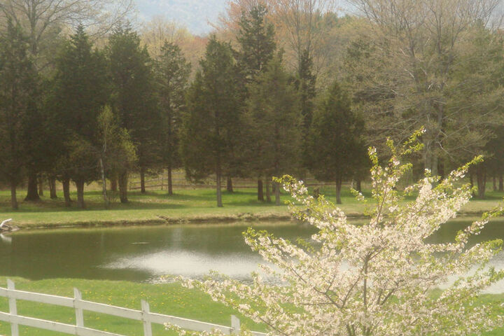 Property Grounds 55 of 72