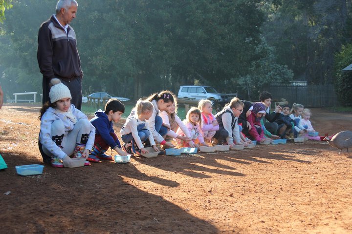 Childrens Activities 51 of 71