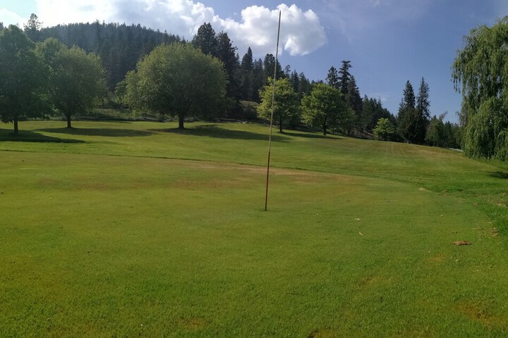 Golf view