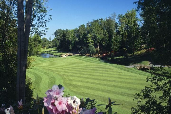 Golf 25 of 55