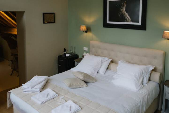 Room 12 of 50