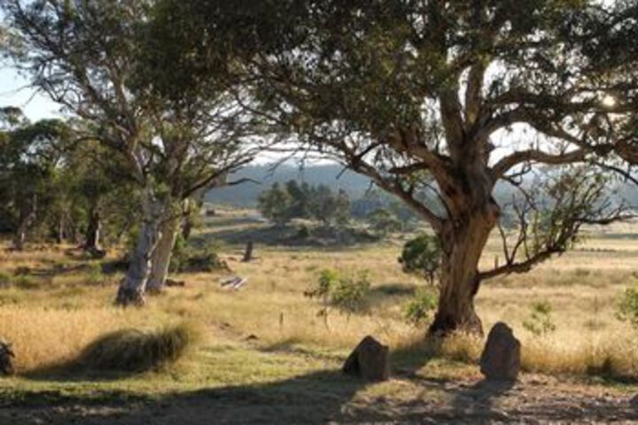 Property Grounds 12 of 13