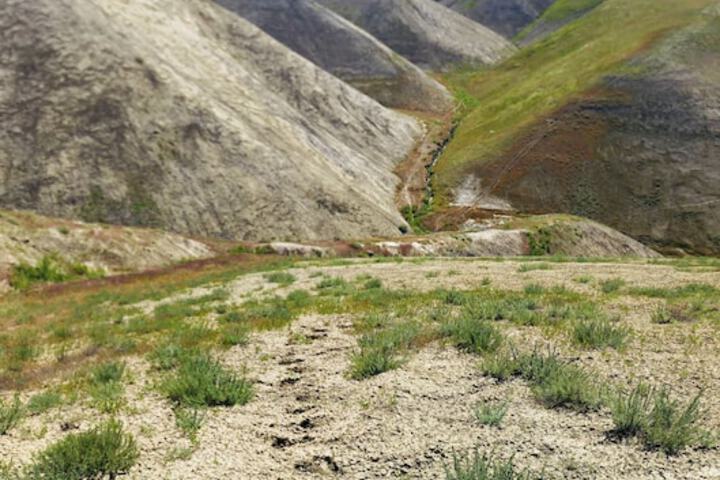 Outdoor Activities 32 of 54