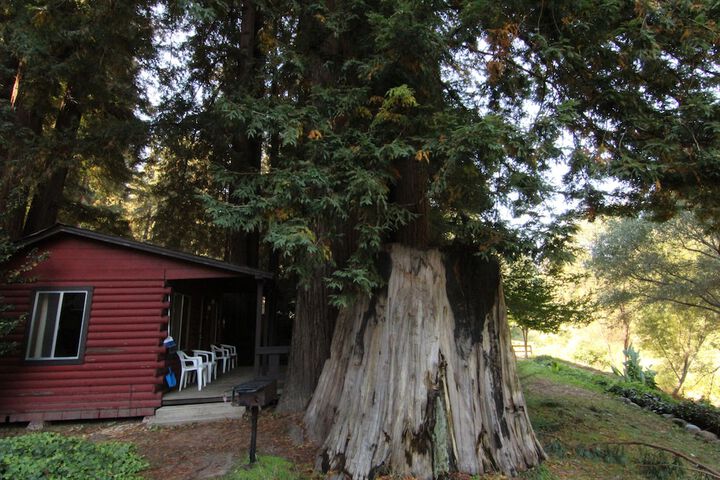 Terrace/Patio 247 of 329