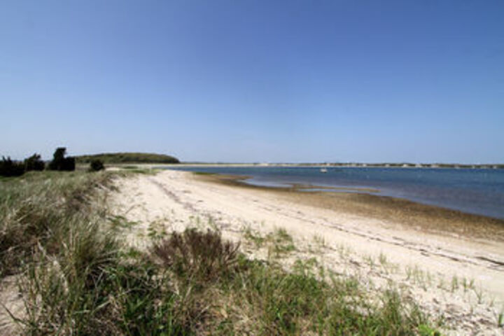 Beach 8 of 24
