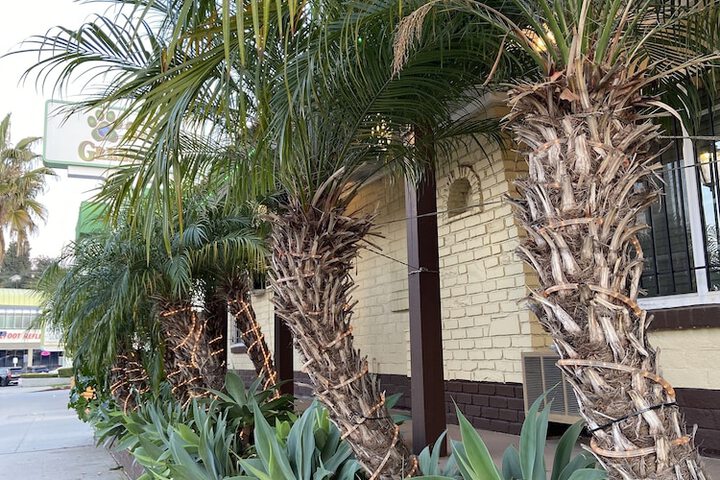 Front of property