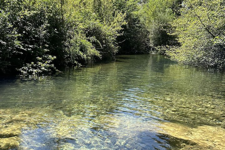 Ostal de la placette