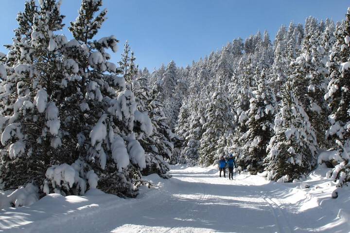 Snow and ski sports