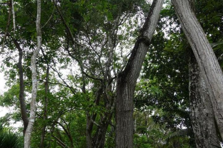 Photo 25