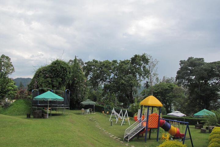 Childrens Activities 22 of 35