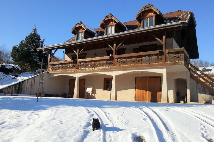 Photo 15