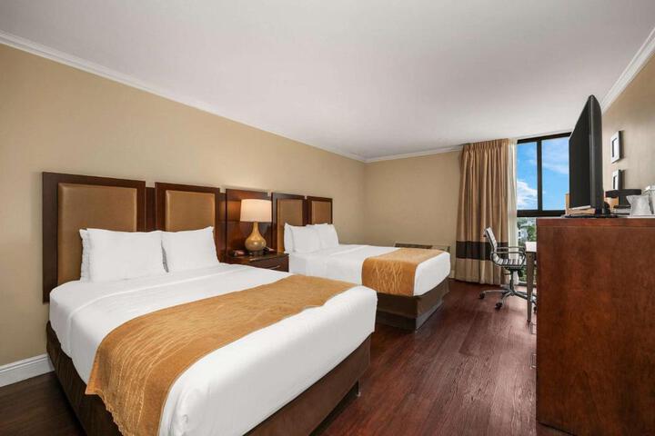 2 Double Beds City View (6 of 11)