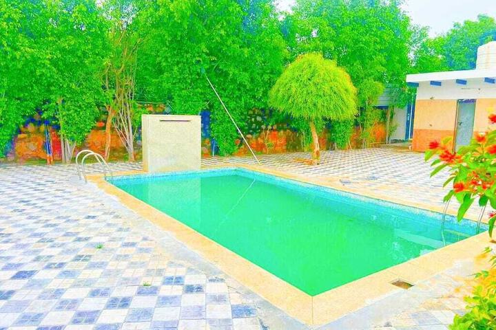 Pool 14 of 19